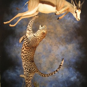 Leopard Springbok taxidermy scene by The Artistry of Wildlife