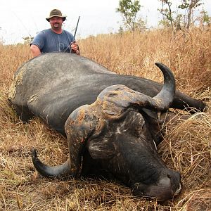 The old bull with smooth horns and deep curls... Tanzania