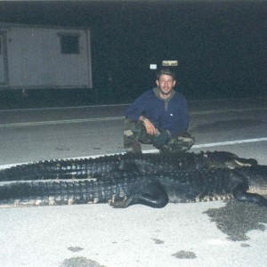 Hunting Alligators