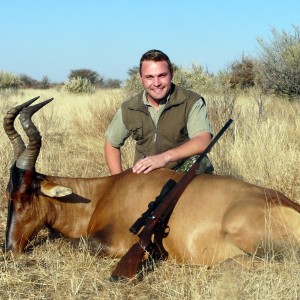 Red Hartebeest taken near Gobabis, Namibia