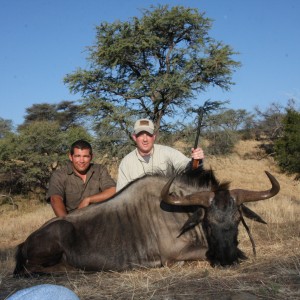 Blue Wildebeest Namibia 2011