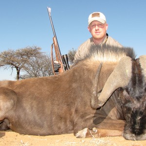 Black Wildebeest Namibia 2011 235.5 cm