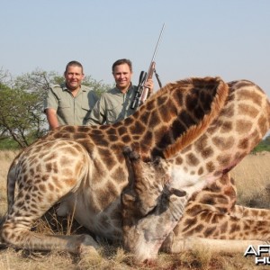 Giraffe South Africa