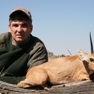 Steenbok