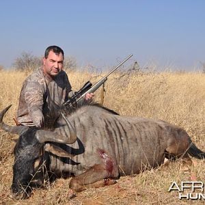 Blue Wildebeast Namibia Hunt