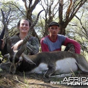 Black buck - Argentina