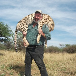 Hunting Cheetah in Namibia