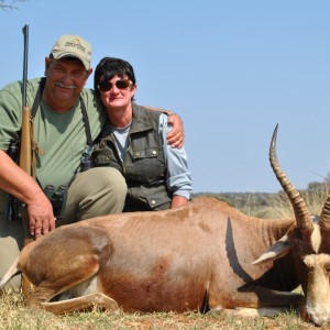 Blesbok