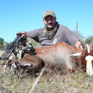 Blesbok with bow