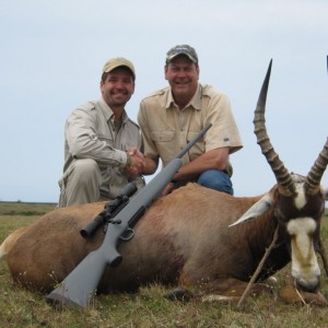 Blesbok South Africa