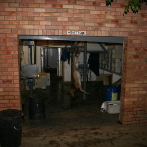 Skinning Room at Butchery