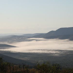 Hluhluwe Mist