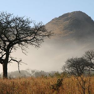 Hluhluwe Shadow