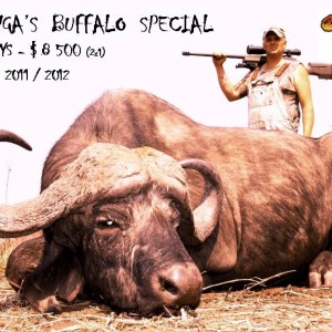 BUFFALO SPECIAL AH