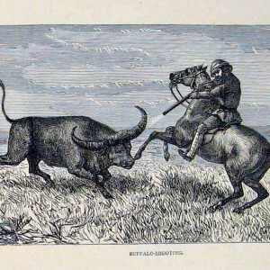 Buffalo Shooting