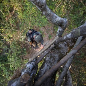 Climbing ladder