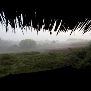 Morning mist from machan