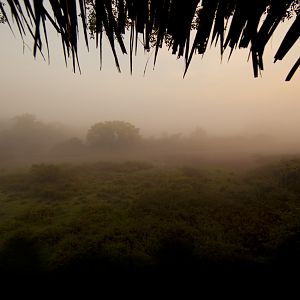 Thick mist from machan