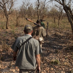 Tracking Eland in CAR