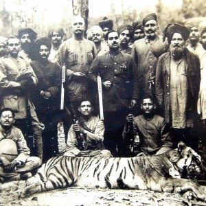 Hunting Tiger in India