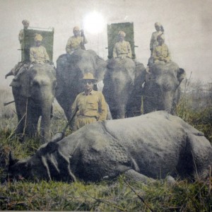 Hunting Rhino in India ca 1950