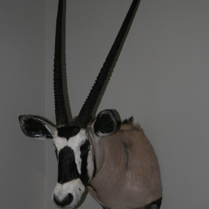 Mr. Krafts Gemsbok