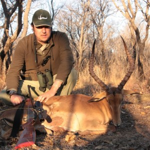 Impala Limpopo