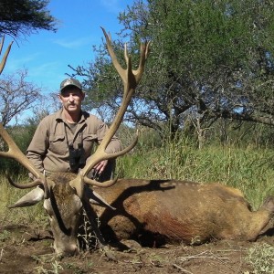 Red Deer Hunt in La Pampa Argentina