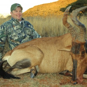 Hartebeest Hunt with Liam Urry Safaris