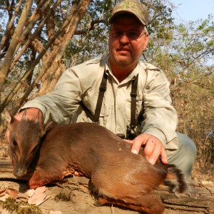 2" BLUE DUIKER ZAMBIA AUGUST 2011