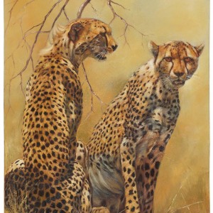 Cheetah Pair by artist Linda Lemon, Original Oil, 90x60cm