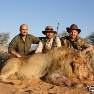 Hunting lion with Savanna Hunting Safaris