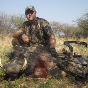 Bowhunting Warthog in Namibia