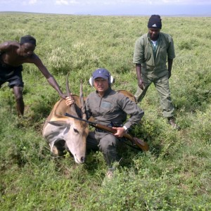 Female Eland