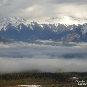 British Columbia Rocky Mountain Goat Hunt