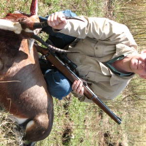 Blesbuck taken at close range in the mountains!