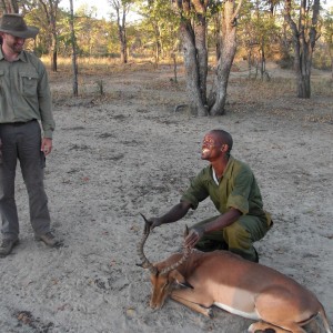 Good impala Zimbabwe