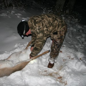 Field Dressing