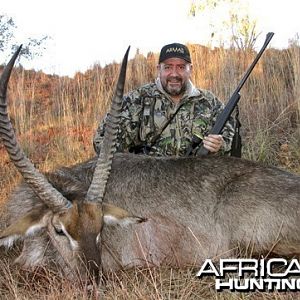 WATERBUCK BULL