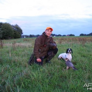 My Falcon after a successfull partridge