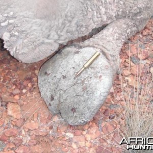 7mm RM cartridge on the Camel front foot pad