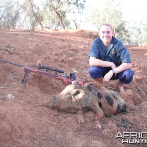 Hunting Pig in Australia