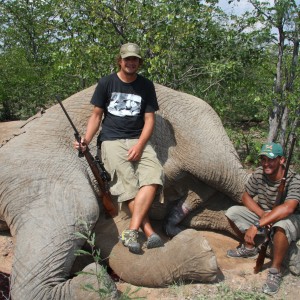 Botswana Elephant