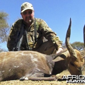 OLD LIMPOPO BUSHBUCK