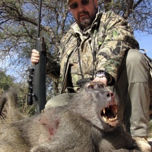 BIG BABOON Blaser 375 HH