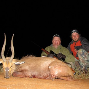 Bushbuck