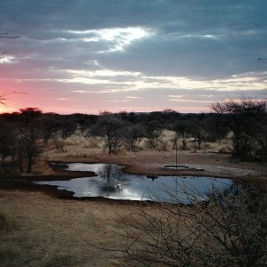 Holstein Hunting Safaris Namibia- Waterhole sunset