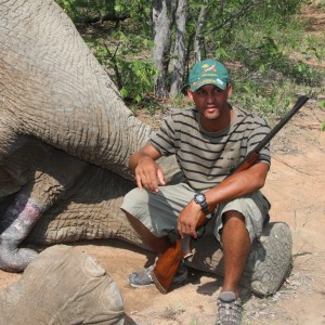 Elephant Botswana