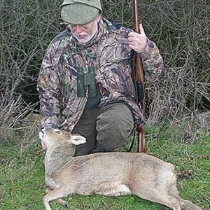 Hunting Chinese Water Deer