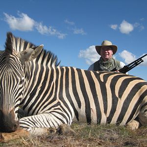 Zebra